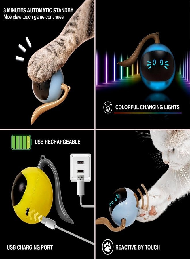 WIDRIA TR Tinsrom Interactive Cat Toy - USB Rechargeable for Kittens & Toys for Cats by TR Tinsrom - Image 2